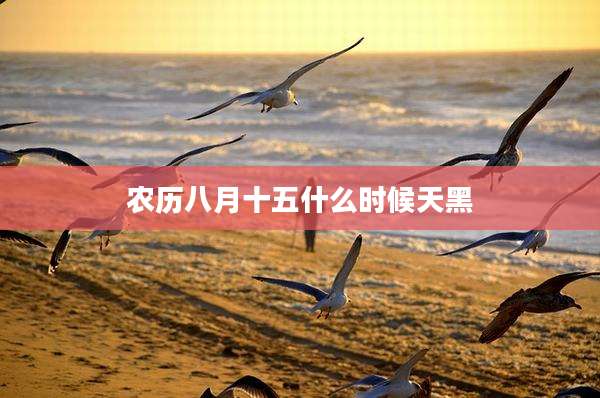 农历八月十五什么时候天黑