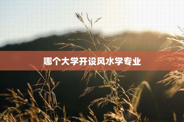 哪个大学开设风水学专业