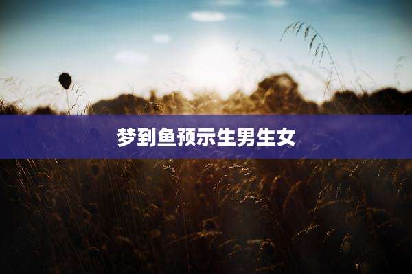 梦到鱼预示生男生女