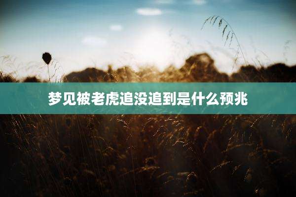 梦见被老虎追没追到是什么预兆