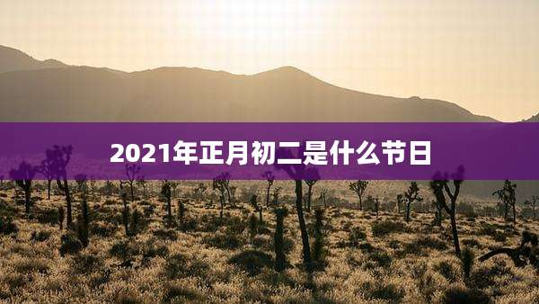 2021年正月初二是什么节日