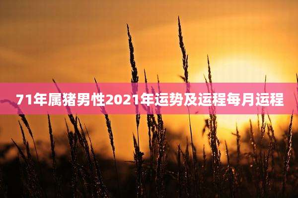 71年属猪男性2021年运势及运程每月运程