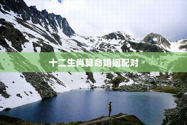十二生肖算命婚姻配对