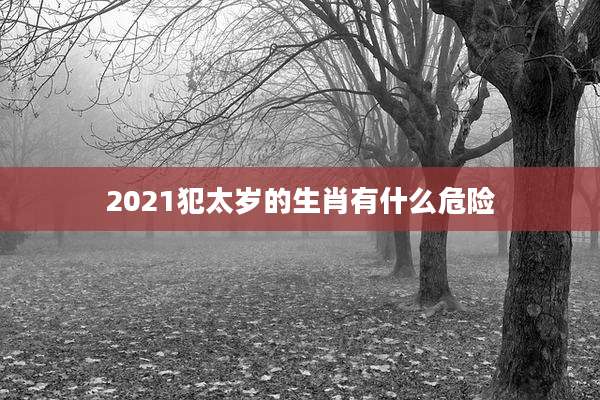 2021犯太岁的生肖有什么危险