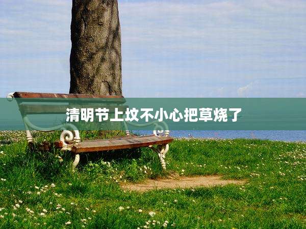 清明节上坟不小心把草烧了