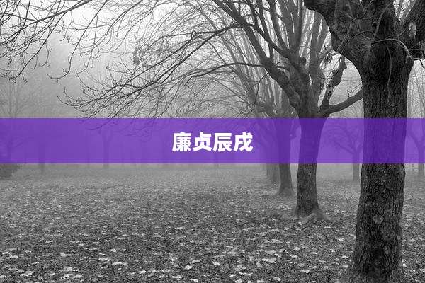 廉贞辰戌