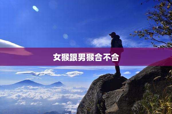 女猴跟男猴合不合