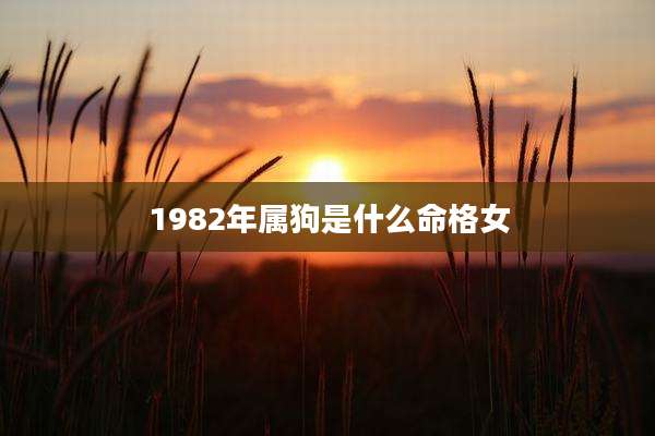 1982年属狗是什么命格女