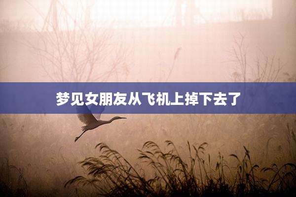 梦见女朋友从飞机上掉下去了