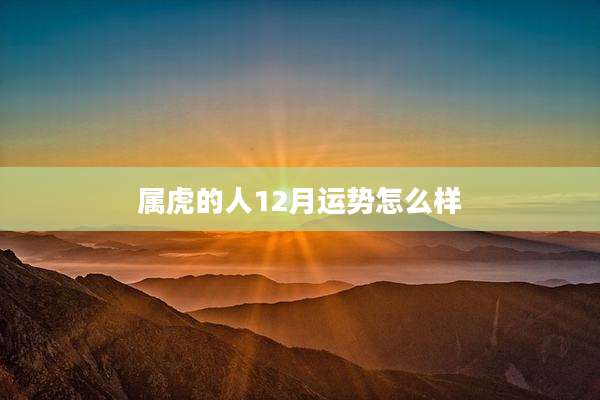 属虎的人12月运势怎么样