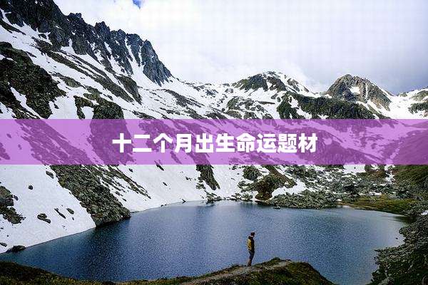 十二个月出生命运题材