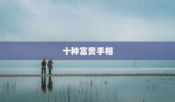 十种富贵手相