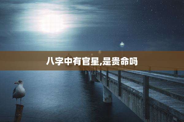 八字中有官星,是贵命吗