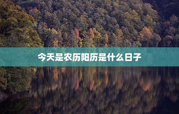 今天是农历阳历是什么日子