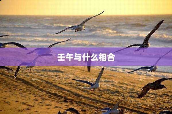 壬午与什么相合