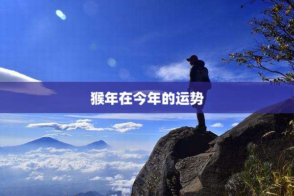 猴年在今年的运势