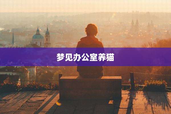 梦见办公室养猫