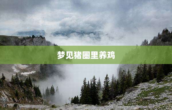 梦见猪圈里养鸡