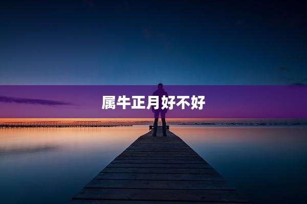 属牛正月好不好