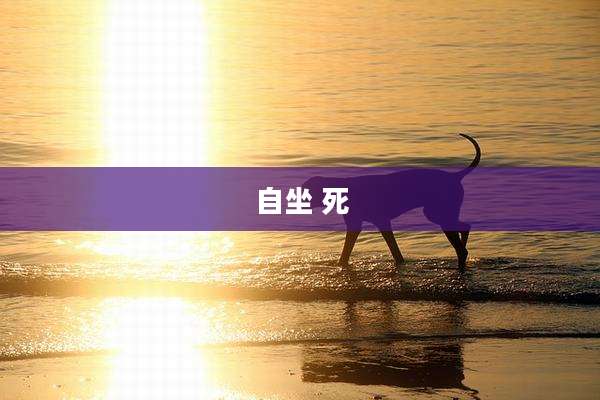自坐 死