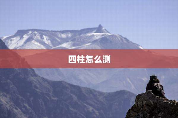 四柱怎么测