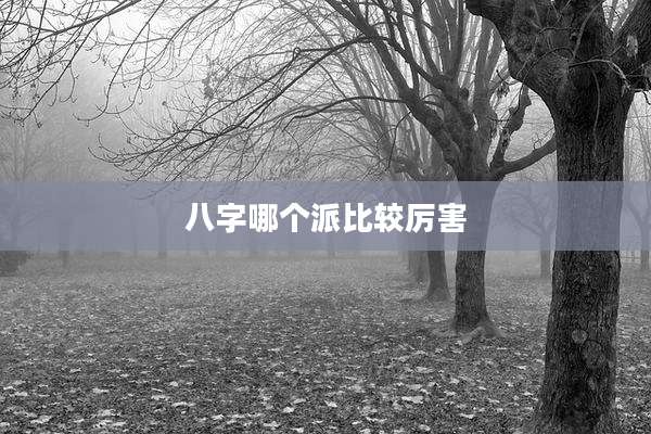八字哪个派比较厉害