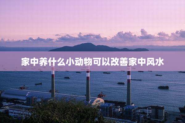 家中养什么小动物可以改善家中风水