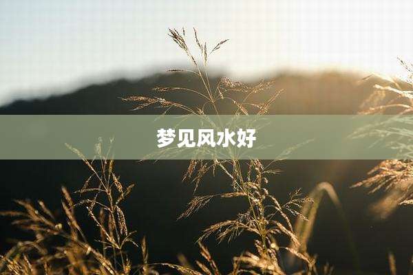 梦见风水好