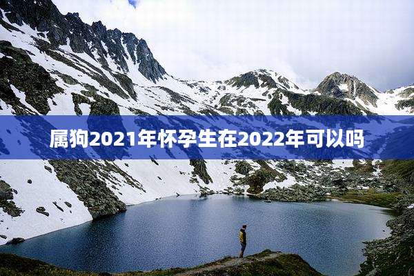 属狗2021年怀孕生在2022年可以吗