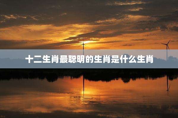 十二生肖最聪明的生肖是什么生肖