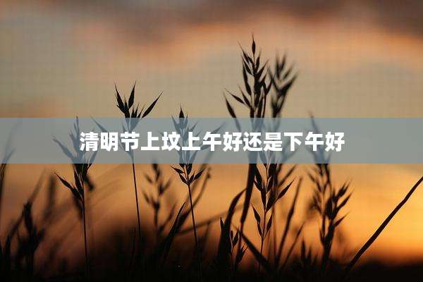 清明节上坟上午好还是下午好