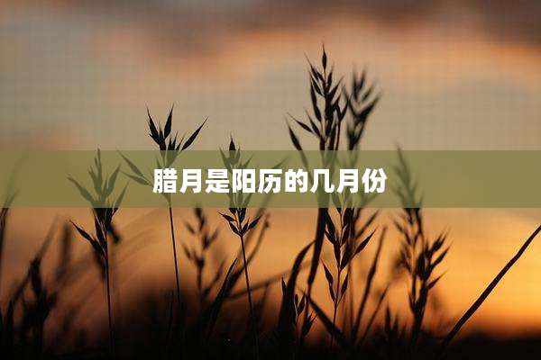 腊月是阳历的几月份