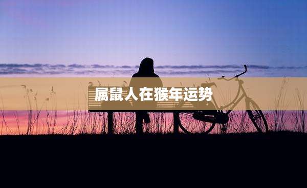 属鼠人在猴年运势
