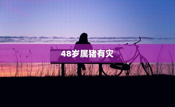 48岁属猪有灾
