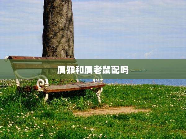 属猴和属老鼠配吗
