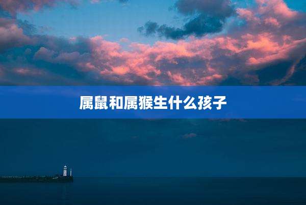 属鼠和属猴生什么孩子