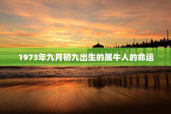 1973年九月初九出生的属牛人的命运