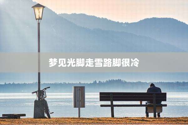 梦见光脚走雪路脚很冷