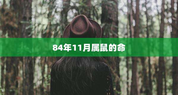 84年11月属鼠的命