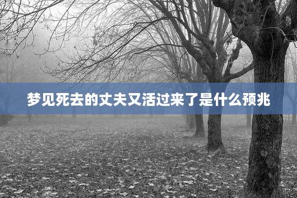 梦见死去的丈夫又活过来了是什么预兆