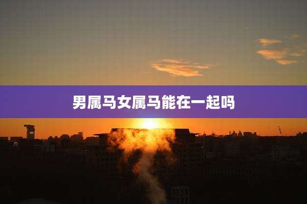 男属马女属马能在一起吗