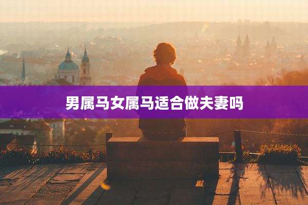 男属马女属马适合做夫妻吗