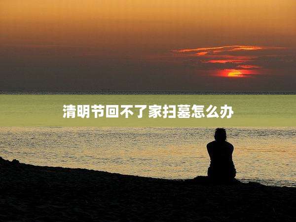 清明节回不了家扫墓怎么办