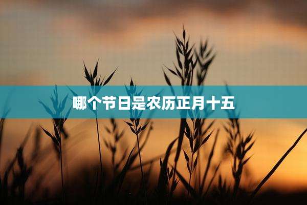 哪个节日是农历正月十五