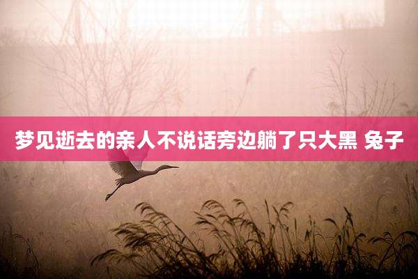梦见逝去的亲人不说话旁边躺了只大黑 兔子