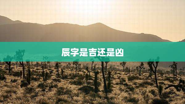 辰字是吉还是凶