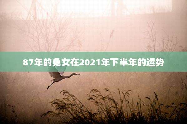 87年的兔女在2021年下半年的运势