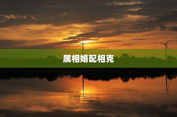 属相婚配相克