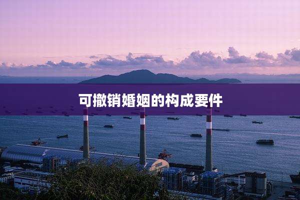 可撤销婚姻的构成要件