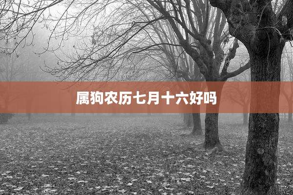 属狗农历七月十六好吗